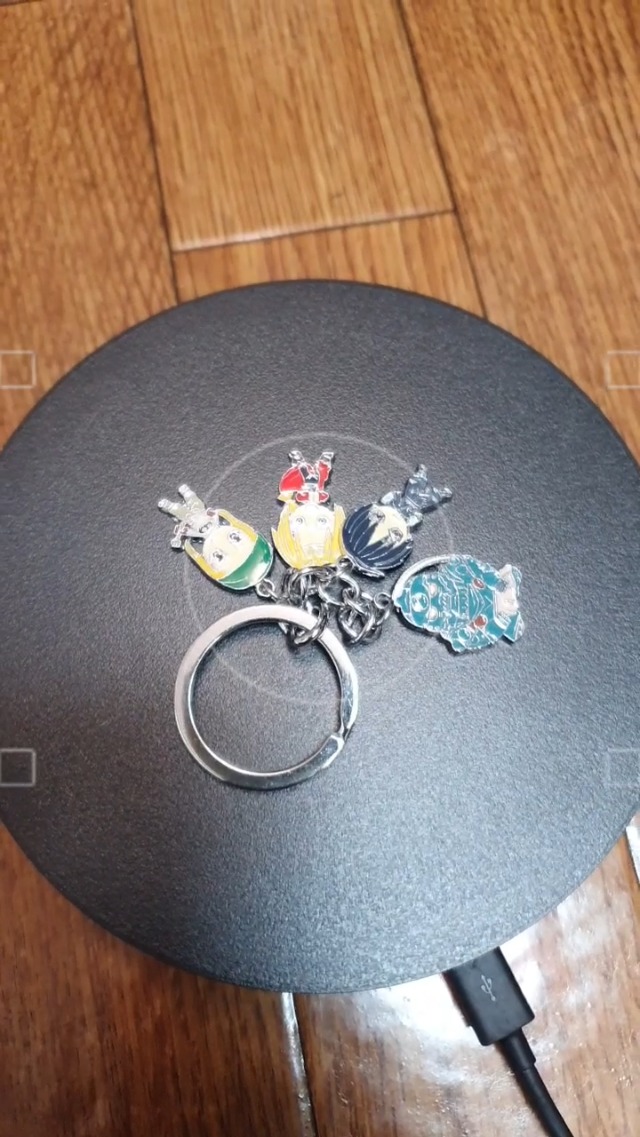 Amazon.co.jp: キーホルダー 鋼の錬金術師 チャーム